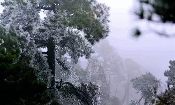 结扎复通手术医保有报销吗?需要哪些资料 - 知识大全 - 眉山网